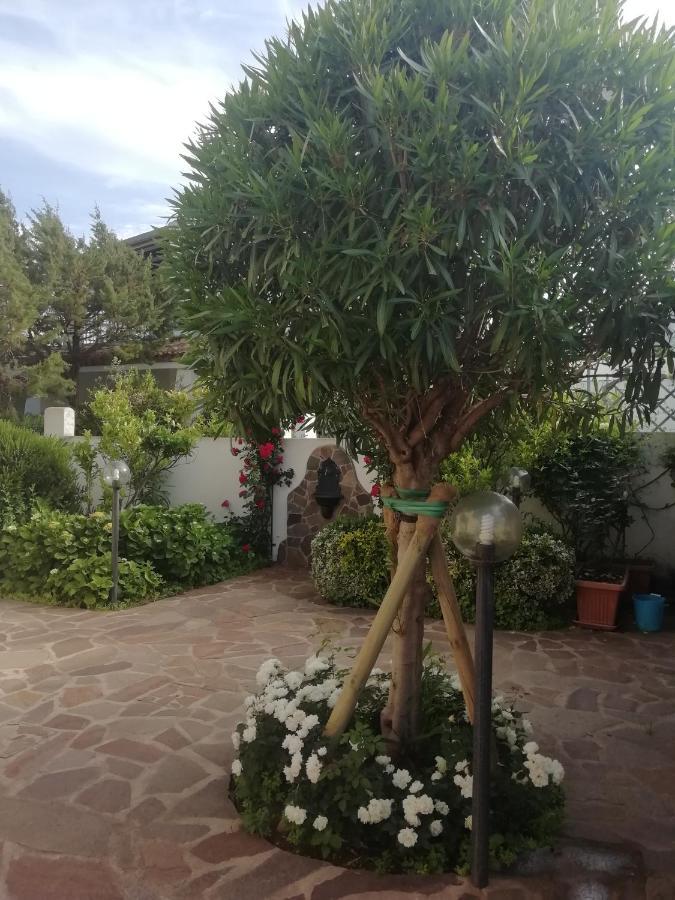 Casa Vacanze Villa Rosa Cala Gonone Bagian luar foto