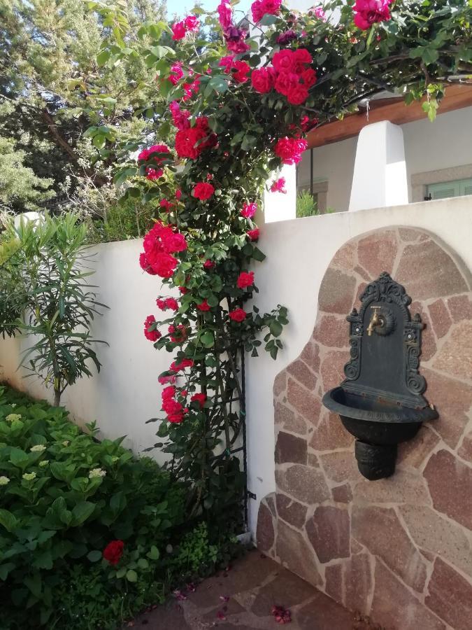 Casa Vacanze Villa Rosa Cala Gonone Bagian luar foto